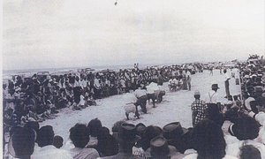 Gedenkboek gemeenskapsorganisasies